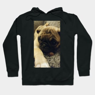 Pug Hoodie